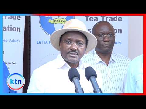 Kalonzo amtaka Ruto kutatua marufuku ya Sudan kuagiza chai ya Kenya