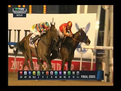 2015 Dubai Golden Shaheen
