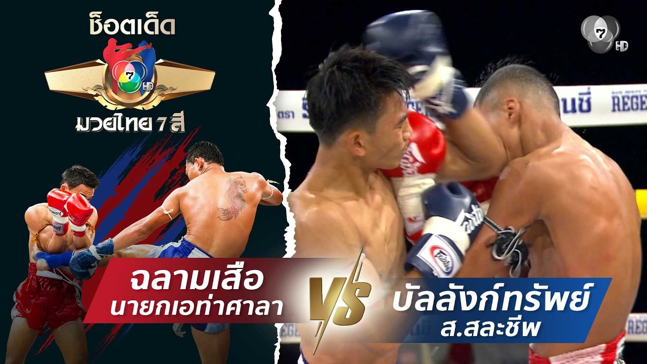 ฉลามเสือ นายกเอท่าศาลา vs บัลลังก์ทรัพย์ ส.สละชีพ | ช?