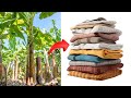 Amazing Eco Friendly Production Process Banana Fiber Fabric