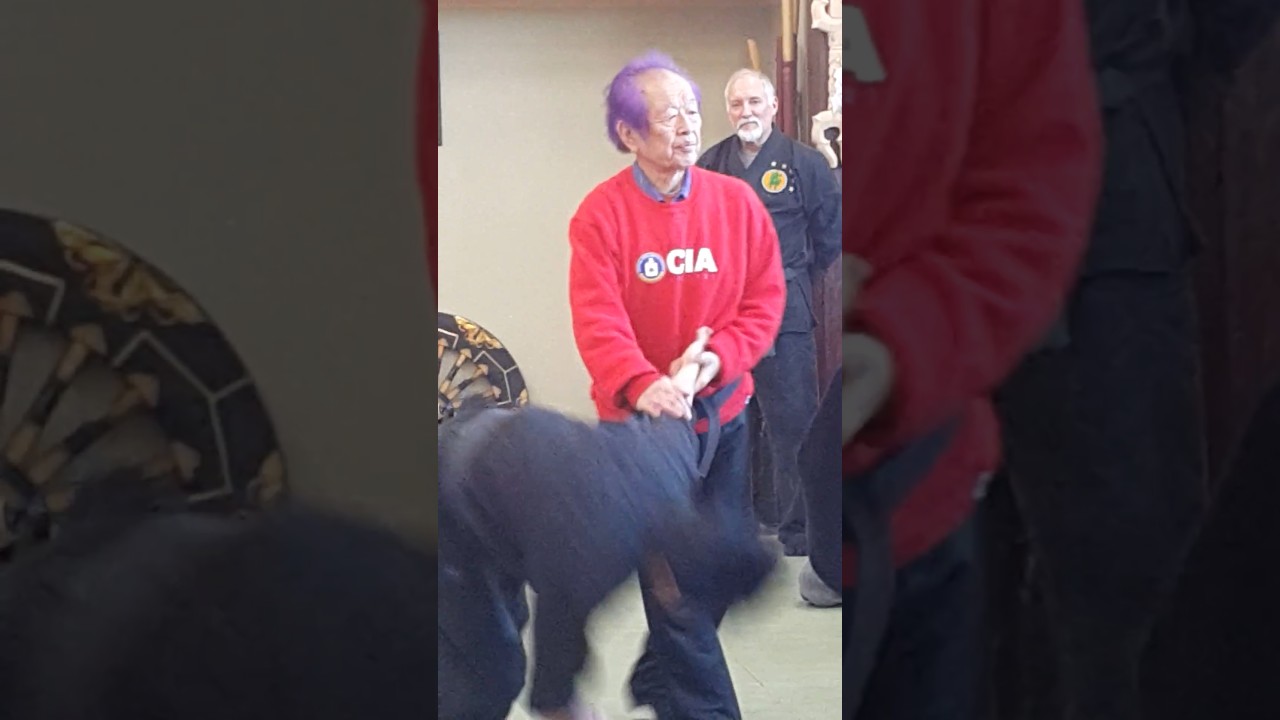 Bujinkan Honbu Dojo 2016 #Bujinkan #masaakihatsumi #武神館