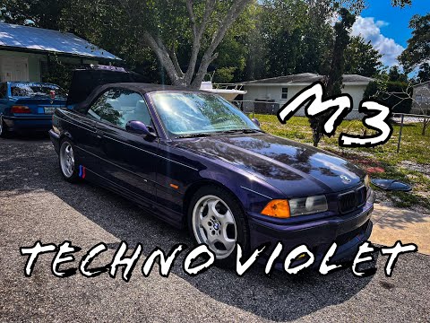 We Found A Rare E36 M3 That Hasn't Seen The Light Of Day In Years!