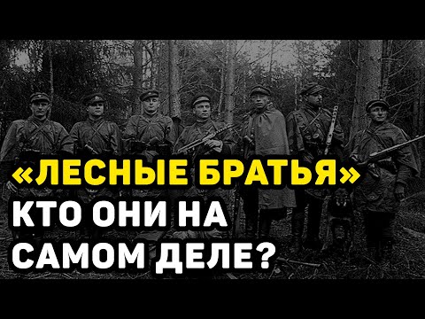 ВСЯ ПРАВДА О ЗВЕРСТВАХ «ЛЕСНЫХ БРАТЬЕВ» В ПРИБАЛТИКЕ ВРЕМЁН СССР