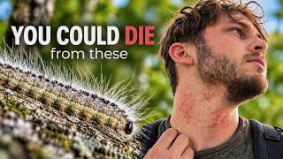 Avoid these at all costs | Cycling across Europe #9