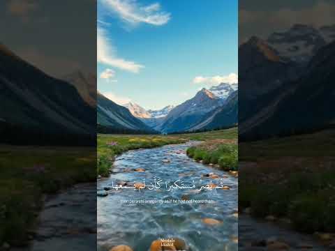 Hidden Valley of Green Dreams