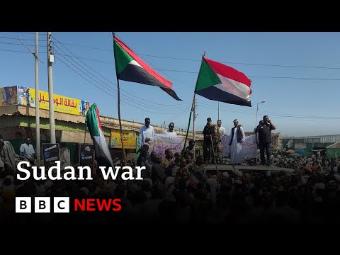 Video | Sudan army recaptures presidential palace in Battle for Khartoum | BBC News
