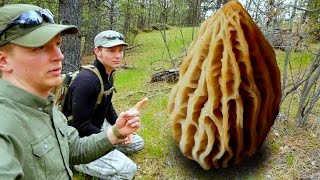 Look What We Found | Morel Hunting Washington State