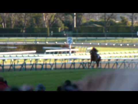 2013.12.22 ［JRA中山］　G1 有馬記念　レース　【現地撮影】
