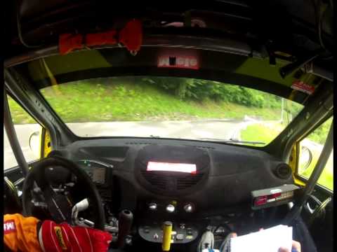 Camera Car Ronde del Ticino 2014 Daldini-Rocca / Twingo R2 EVO