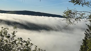 Tim’s Woodland WooWoo – The Subtleties of Ascension.