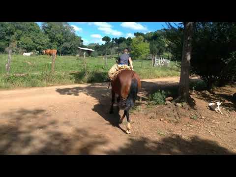 PASSEIO A CAVALAO CERRO NEGRO -SC 2022