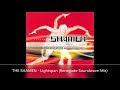 THE SHAMEN   Lightspan Renegade Soundwave Mix