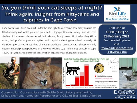 Conservation Conversations: "So you think your cat sleeps at night?"