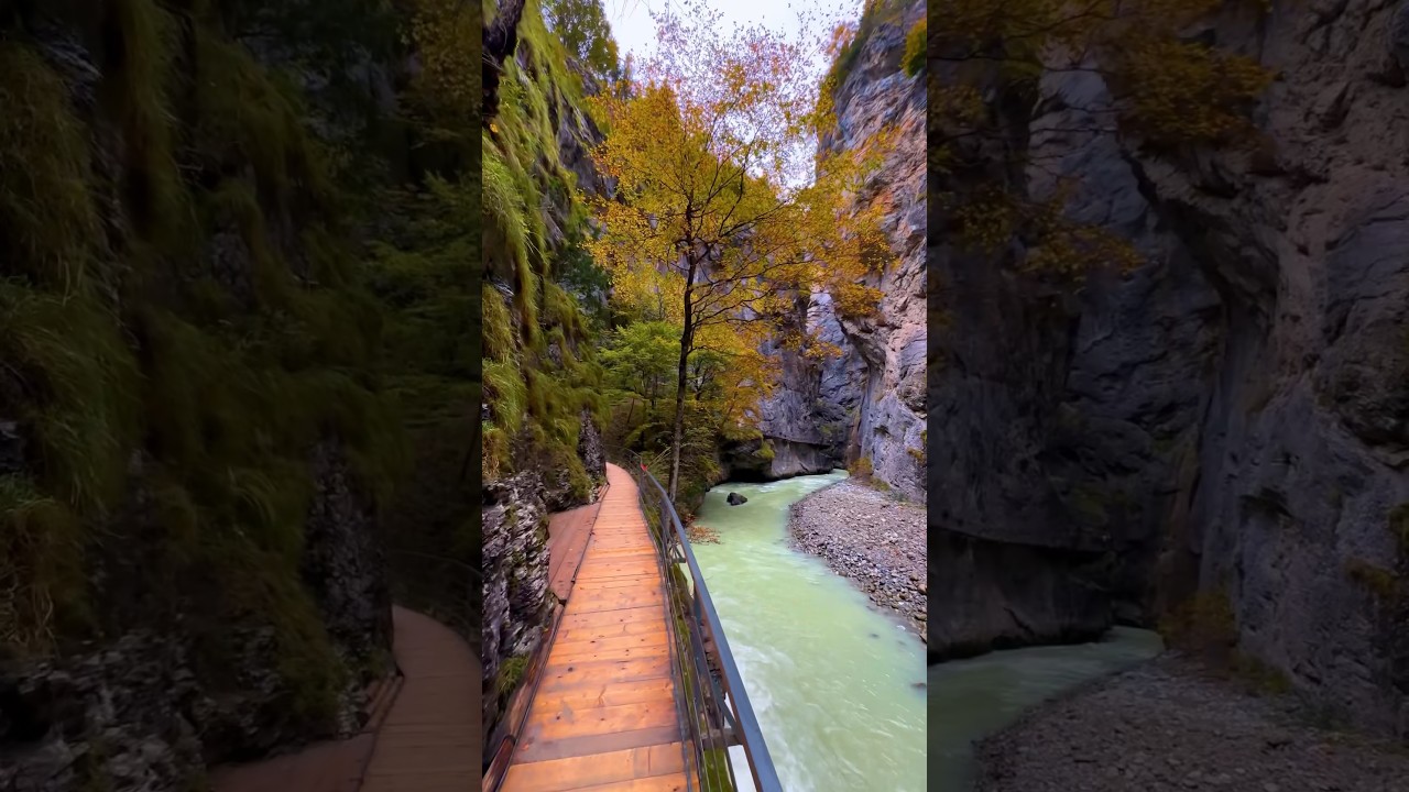 YouTube Short thumbnail