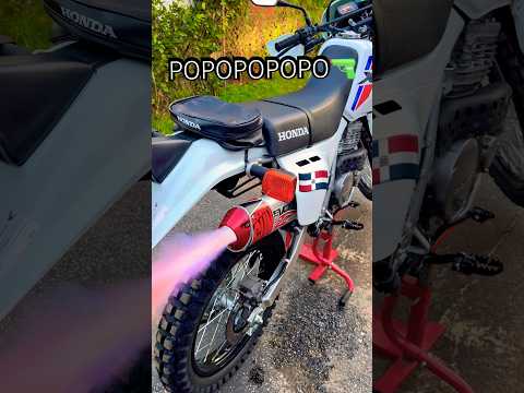 2025 HONDA XR 650L CAMBIO DE MOFLERIA DE BIG GUN #honda #bigguns #hondaxr650 #xr650l #trial #viral