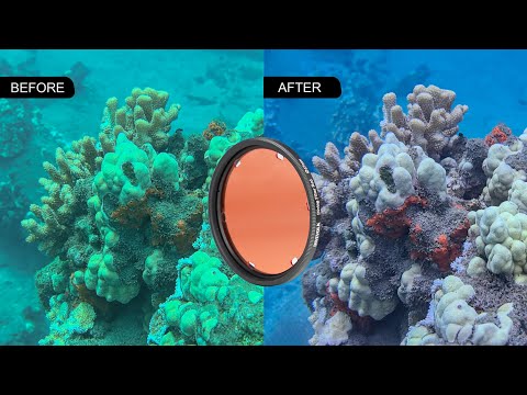 🎥 Ready to SAVE YOUR UNDERWATER FOOTAGE from looking like a blue, washed-out mess? 😱