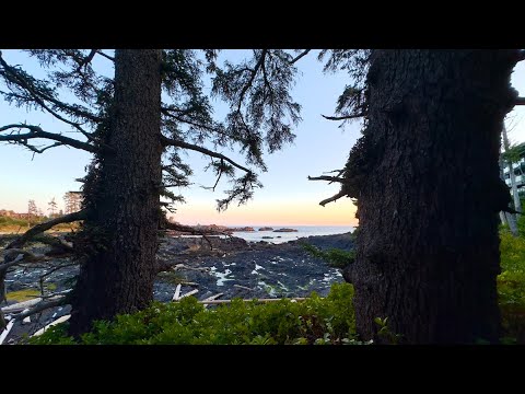 Ucluelet – Things to do in Ucluelet, BC