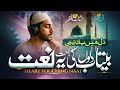 New Naat Sharif 2025 Yaad E Nabi Hafiz Hassan Anzar Rabi Ul Awal Naat