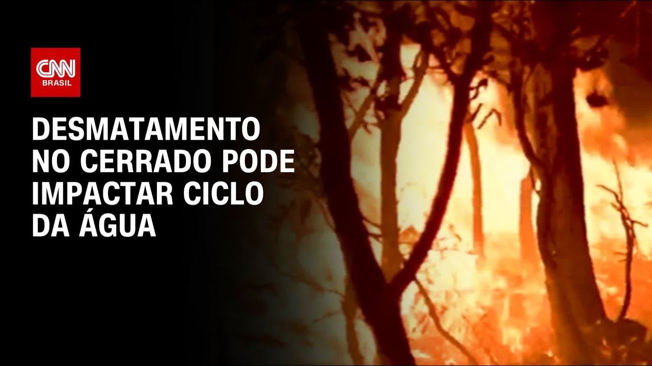 Desmatamento no Cerrado pode impactar ciclo da água | CNN PRIME TIME