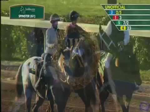 2016 Juddmonte Spinster Stakes - I'm a Chatterbox