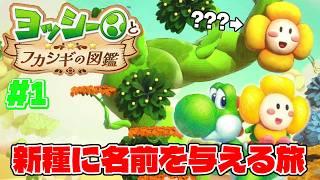あなたならこの花に何て名前を付けますか？【ヨッシーとフカシギの図鑑】switch2で実況プレイ#1