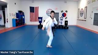 Live Class - Black Belt - 4.10.20 @ 7pm