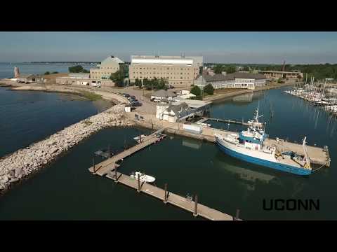Learn more about the Department of Marine Sciences
