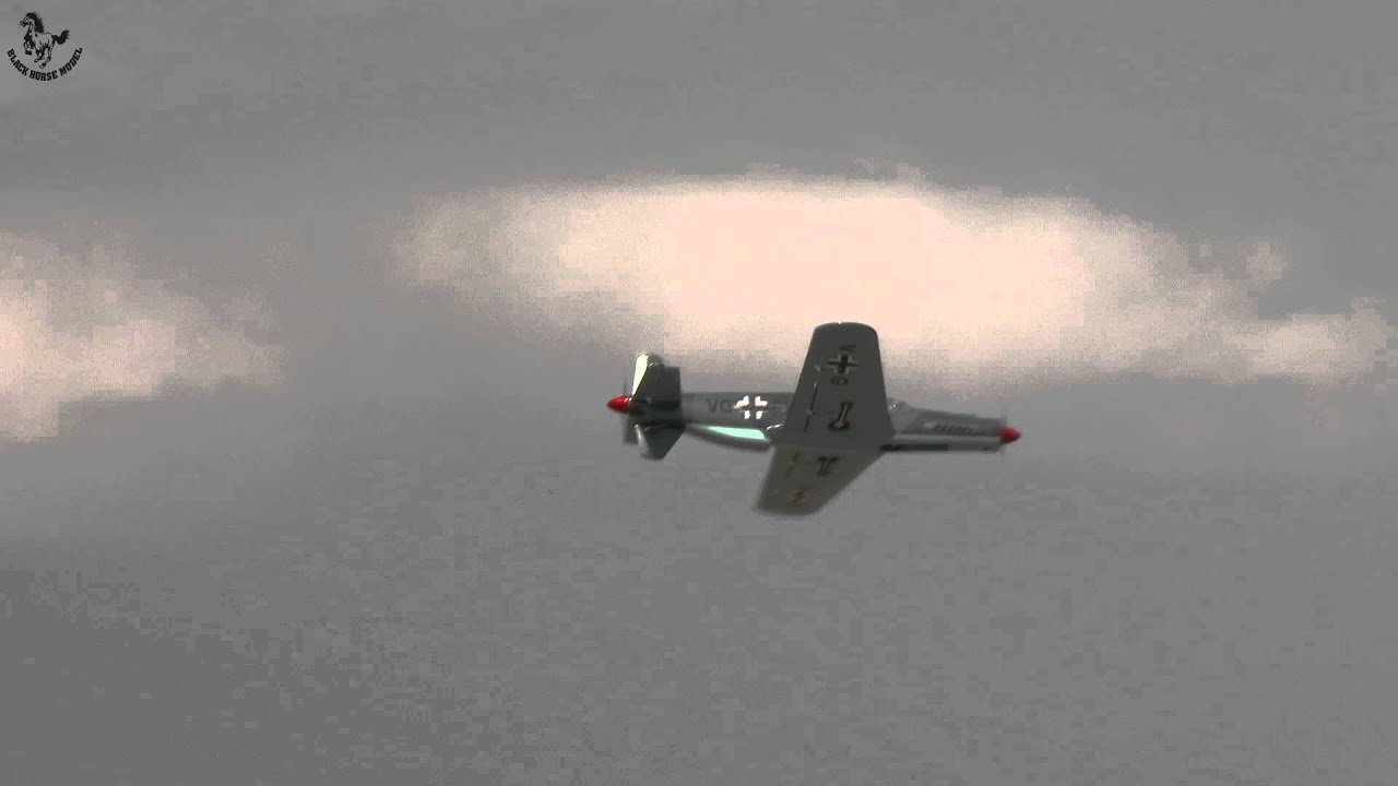 BH163 Do-335 Pfeil 1724mm ARF