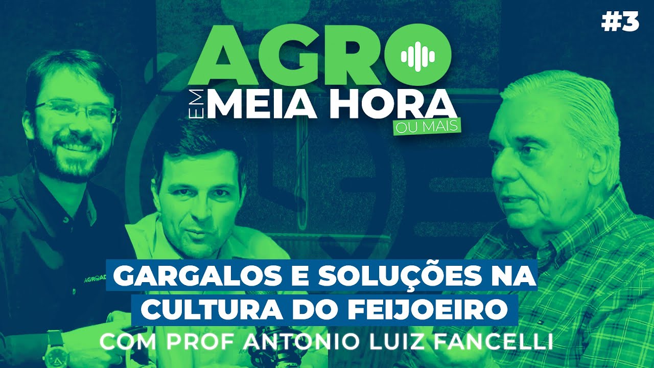 AGRO EM MEIA HORA, OU MAIS:  #3 Gargalos e soluções na cultura do feijoeiro - Com Profº  Fancelli