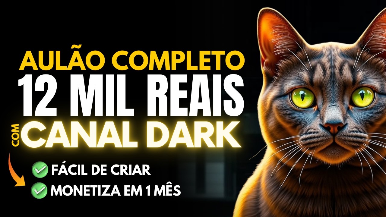 O PLANO COMPLETO PARA FAZER R$12.000 POR MÊS COM CANAL DARK!