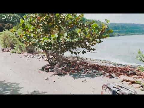 Hacia Cañón Río Yumurí Sabana y  la Casa de Polymita picta, BARACOA, Cuba🇨🇺🌊🏞️🌴🚙