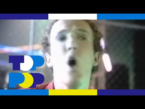 Alides Hidding - Hollywood Seven • TopPop