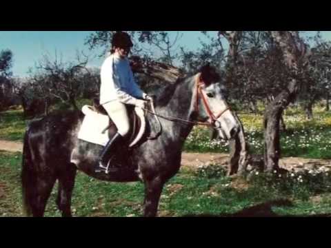 PEGASO II memories 1985/2016