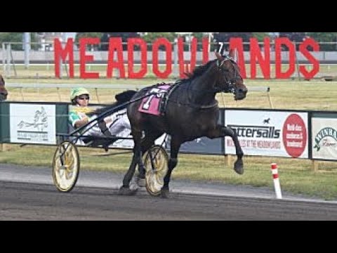 2020 Wendy Ross -- Trainer Marcus Melander -- Hambletonian & Oaks