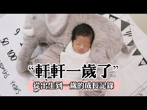寶寶出生日期