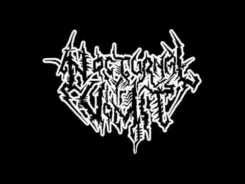 Nocturnal Vomit Pandemonic Outburst 2006 Split 7''EP