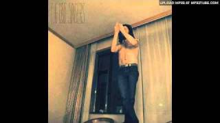 THE CAVE SINGERS / distant sures