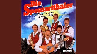 Wir sind super, super drauf Music Video