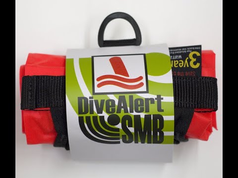 The DMB5 Promo Video