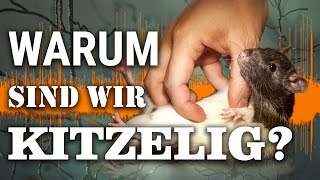 Warum sind wir kitzelig? (Fast Forward Science 2017)