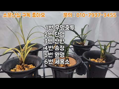 유튜브 썸네일
