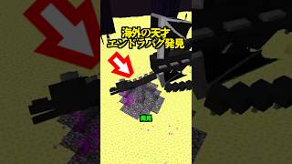 海外の天才、エンドラバグ発見【マイクラ】