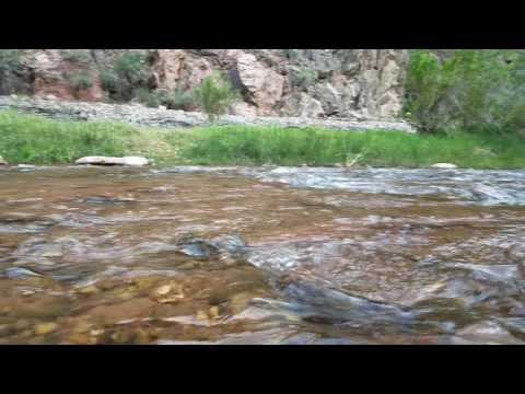 Bright Angel Creek flows into the Colorado River