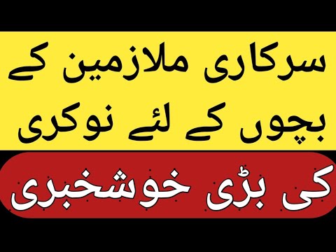 rule17a | 17a rules | government of punjab