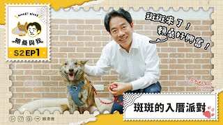 斷肢毛孩斑斑入厝官邸 賴總統溫馨互動入鏡