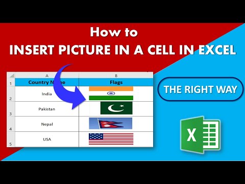 Dynamic Filter in Excel Filter As You Type Excel VBA