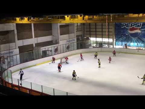 HK Vojvodina : KHL Mladost