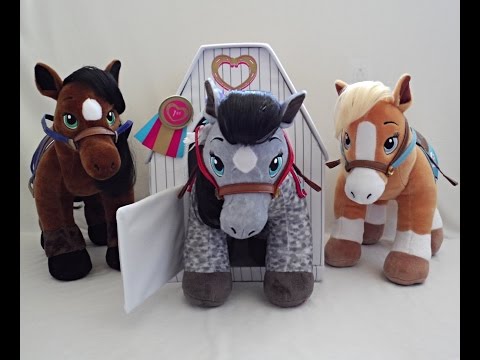 Grey Appaloosa Horses and Hearts Riding Club All Three Horses!