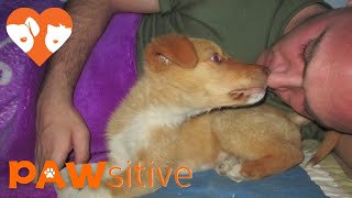 Marine is Reunited With Puppy He Saved While in Afghanistan. Please share.