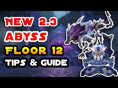 Tips & Guide for 2.3 Spiral Abyss Floor 12 | Genshin Impact